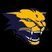 Partner_cougars_football_twitter_logo