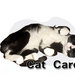 Thumb_belle-city-catcare